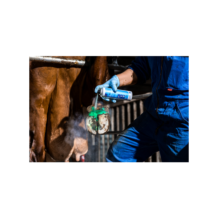 MicraDerm Spray